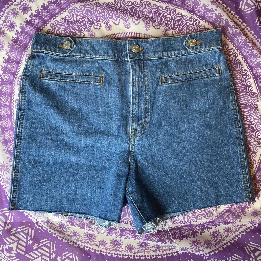 Madewell Jeans DIY Cut Off Shorts. Size 28